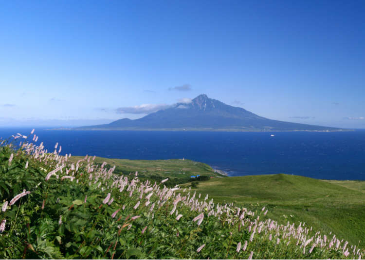 Wallpaper Japan S Secret Wild North 7 Inspiring Sights On Rebun Island HD