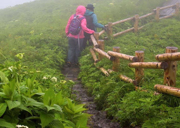 The path goes up and down in several places