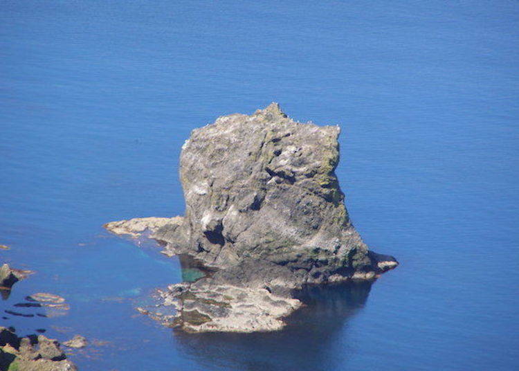 Close-up of Nekoiwa. It rather resembles the hunched back of a cat, don’t you think? (photo by Rebun Hana Guide Club)