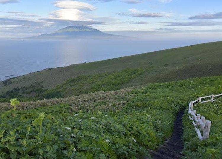 花道（Flower Road）的起点。海的对面是邻岛利尻岛的利尻山。