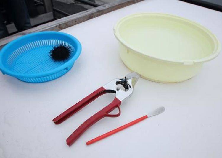 This device that looks like pliers is especially made for cracking open sea urchin. The implement next to it is used for removing the meat from the shell of the sea urchin. The bowl to the right is filled with sea water and is used for rinsing the meat.