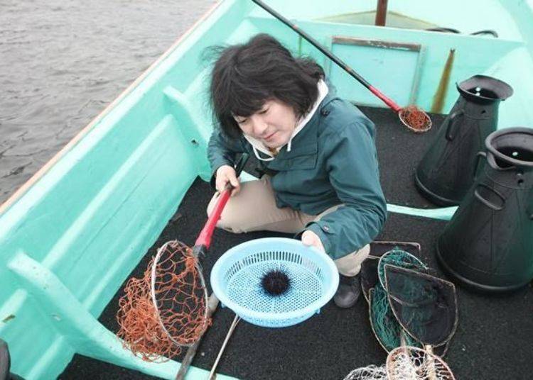 將抓到的海膽放到濾網盆，一手拿著濾網盆準備下船了。
