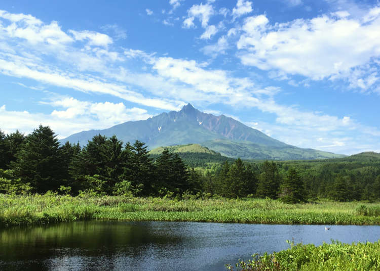 홋카이도 인기과자 시로이 고히비토의 포장에 그려진 산, 바로 그 리시리산으로 절경 여행을 떠난다!!