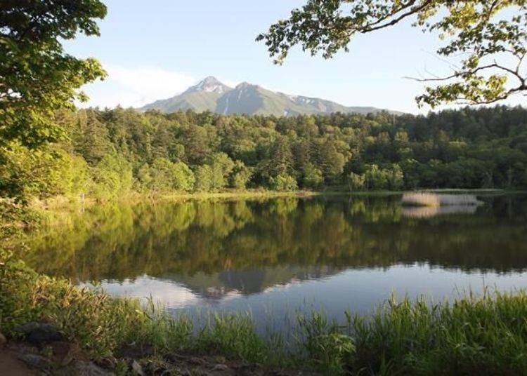 Himenuma is surrounded by a virgin forest. Mt. Rishiri is reflected beautifully on the surface of the water on days when the wind is not strong enough to ripple the surface.
