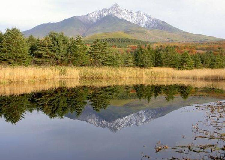 It is even more beautiful when you can see the mountain! In October the summit becomes covered in snow and the base of the mountain is dyed in autumn colors (photo provided by Rishiri Fuji-cho Tourism Association)