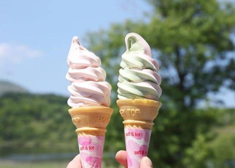 最受欢迎的是口味清爽的「野玫瑰冰淇淋」（左）。「熊笹茶及北海道产玫瑰冰淇淋」（右）也相当受欢迎。熊笹茶的味道接近抹茶风味（各300日元）。