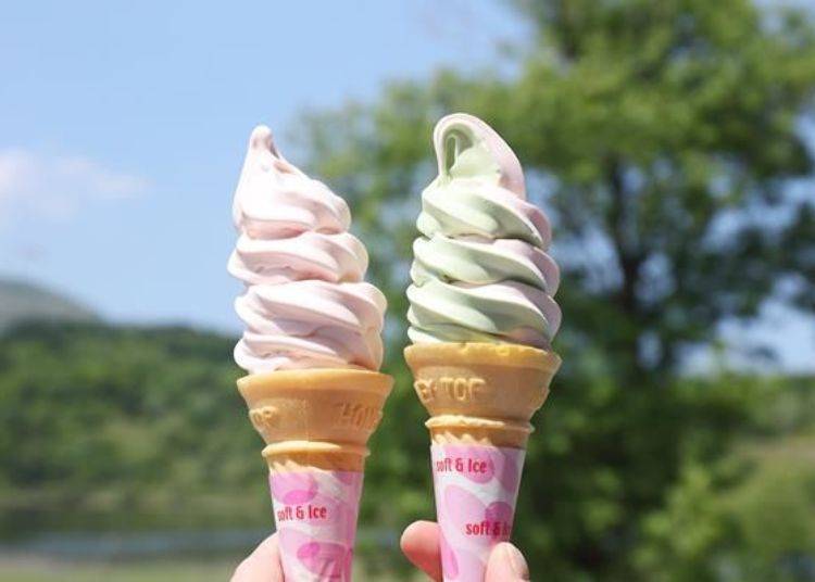 最受歡迎的是清爽口味的「北海道產玫瑰霜淇淋」(左),以及「熊笹茶及北海道產玫瑰霜淇淋」(右)也相當有人氣。熊笹茶的味道接近抹茶風味(各300日圓)。