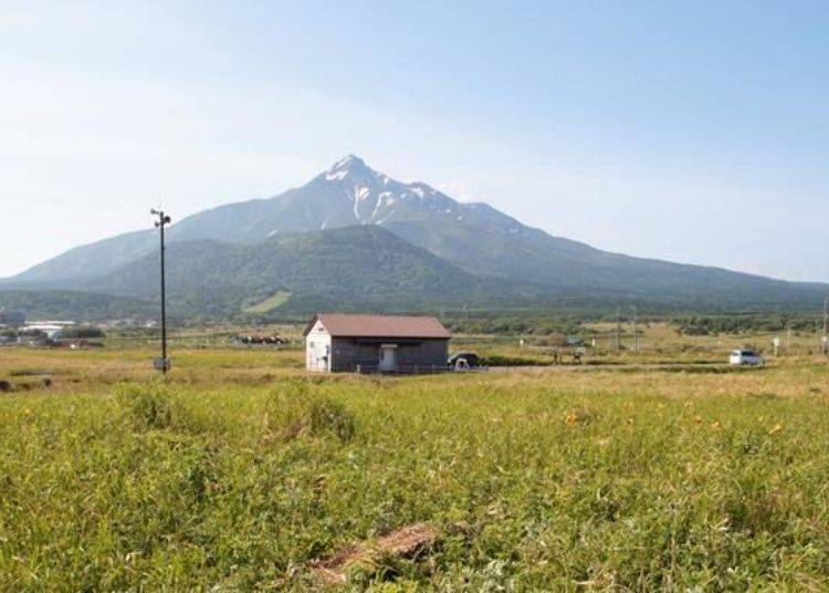 從富士野園地遠眺，可以看到清楚看到利尻的山腳下。