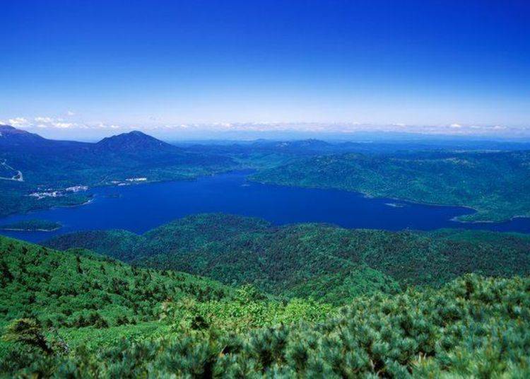 The marimo algae balls of Lake Akan form into a beautiful spherical shape, and have become famous as a mascot of the lake. (Photo by Akan Tourist Association)