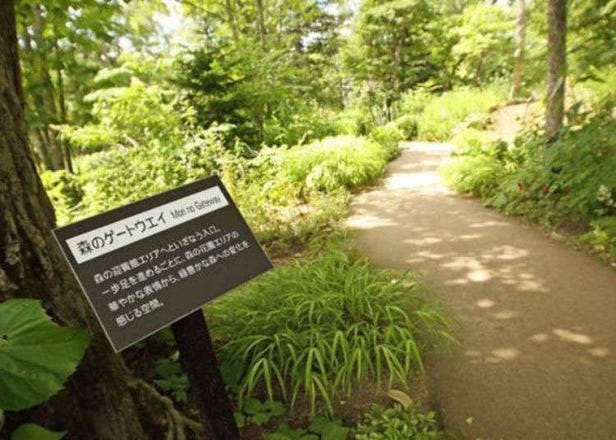 「大雪森之庭院」有療癒的花園與三國主廚的午餐讓人度過一個優雅的假期！