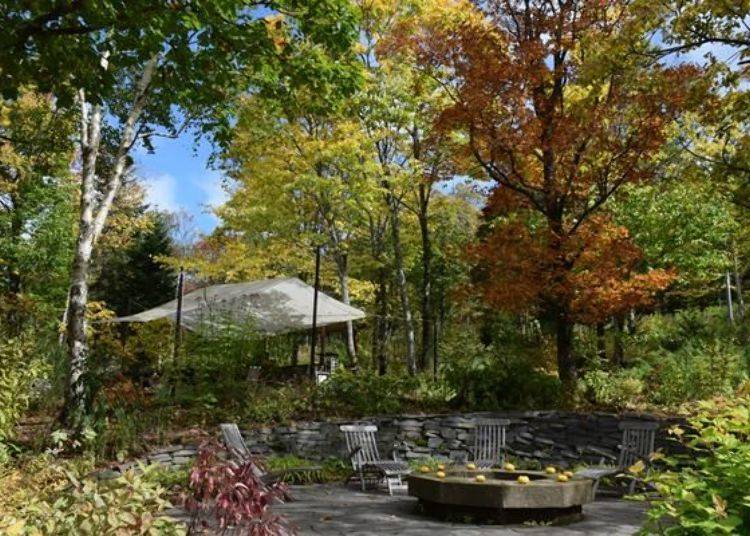 ▲ The plateau garden set amidst flowers and trees. In autumn the foliage is bathed in colors around the end of September (Photo provided by Daisetsu Mori-no Garden)