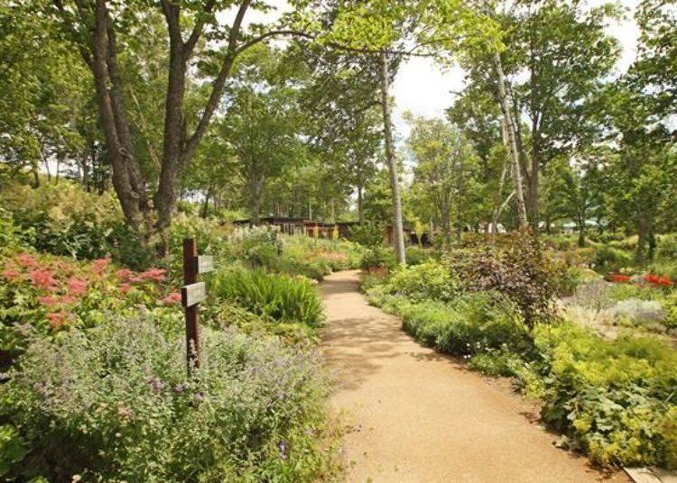 ▲ First take a leisurely stroll through the Flower Garden in the Forest and enjoy the flowers