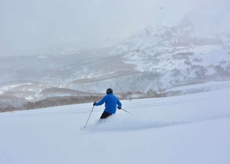 在北海道盡情享受二世谷頂級的奢侈粉雪團，「CAT TOUR」