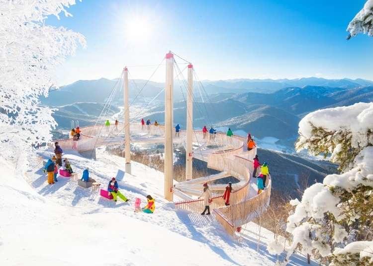 Visiting Muhyo Terrace Tomamu: Hokkaido's Incredible Frozen Landscapes!