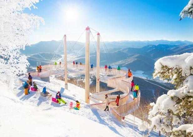 Visiting Muhyo Terrace Tomamu: Hokkaido's Incredible Frozen Landscapes!