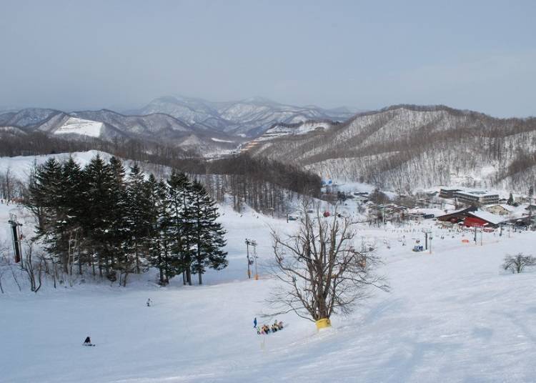 ■札幌盘溪滑雪场