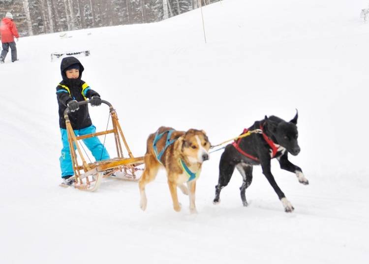 Fun snow activities unique to Hokkaido Rusutsu Resort