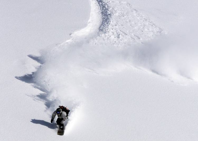 ■在雄大的滑雪場享受最頂級的粉雪