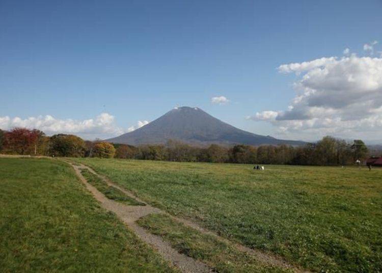 ▲The classic view from the “Niseko Takahashi Farm” has restaurants and shops. The cream puffs and ice creams from “Milk Kobo” are really good. It takes about 8 minutes by car from “Michi-no-Eki Niseko View Plaza”.
