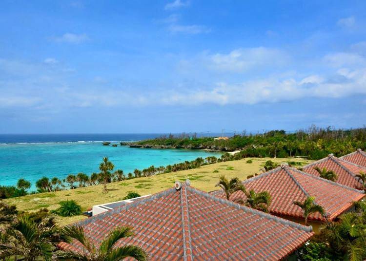 Beautiful Coral Reefs and Beaches in Okinawa