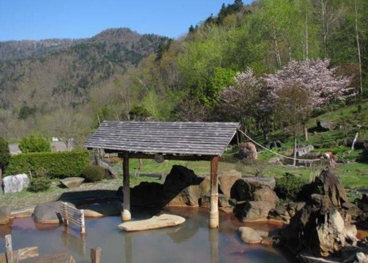 The season to view sakura cherry blossoms is right after Golden Week Holiday, around mid-May (photo provided by Hoheikyo Onsen)
