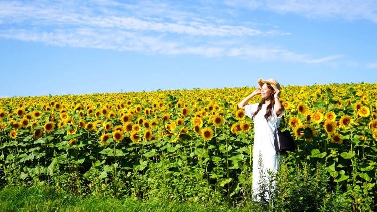 Flowers, Beer & More: Hokkaido Summer Driving Itinerary (+ Bonus 6-Day Plan)