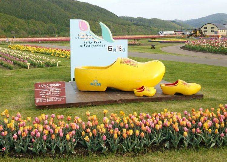 The giant wooden shoe is an especially good photo spot. The clog was made by a craftsman in Holland and having your photo taken in it is perfect for posting on Instagram! (Photo courtesy of Yubetsu Town Tourism Association)