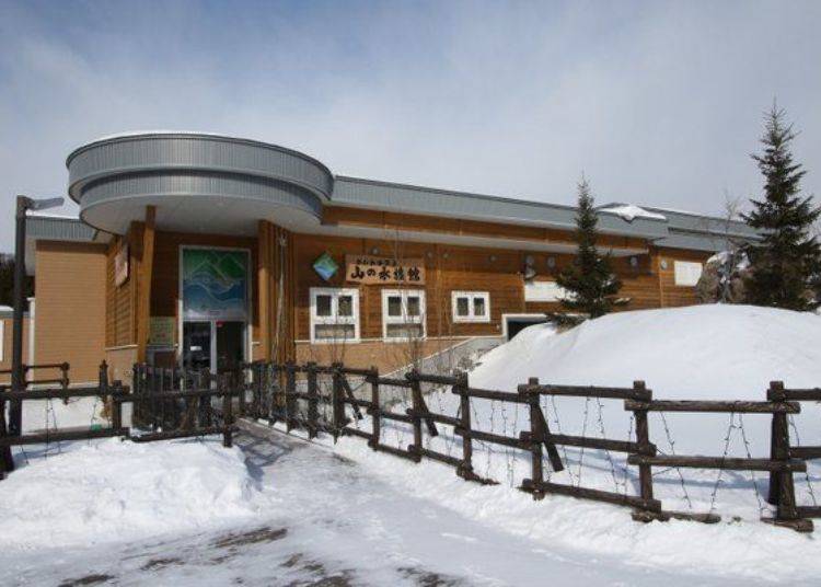 Although it is not a large facility, it contains fish types that are rarely seen in other parts of the world.