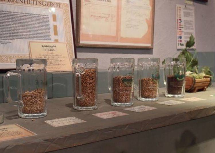 Several types of malt and yeast are displayed in one corner of the sales shop, and you may touch or smell them.