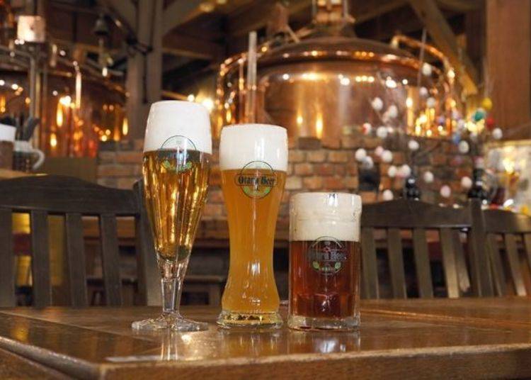 Try the Pilsner, Weiss, and Dunkel to see which one you like best.