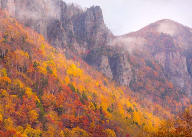 Discover Hokkaido's Scenic Sounkyo: Colorful Leaves & Snow-Covered Mount Kurodake!