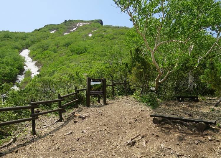 「黒岳カムイの森のみち」の終点「あまりょうの滝展望台」
