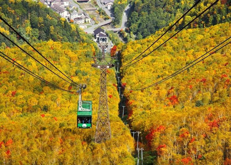 【秋】日本國內最早迎接秋季的黑岳。9~10月紅葉將山的一面妝點的如織如畫