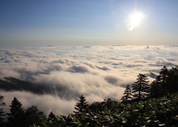 View of the unkai from Tsubetsu Pass Observatory