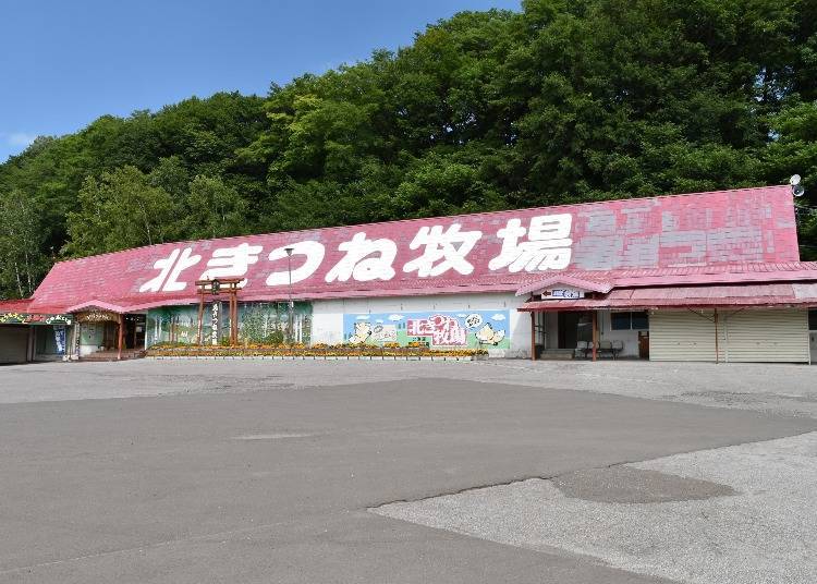 Ezo red foxes are found only in Hokkaido