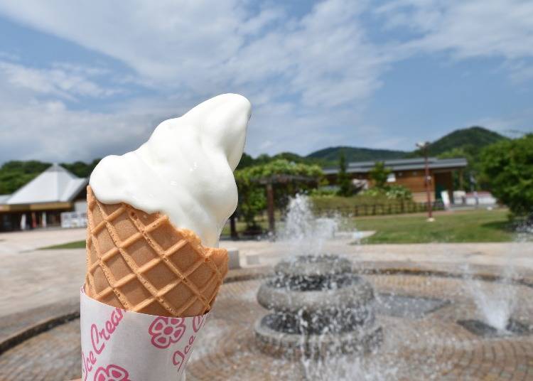 北見市瑠辺蘂町を遊びつくそう