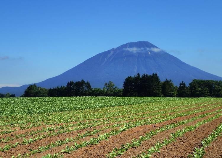 1. Mt. Yotei: A great example of a Hokkaido Mount Fuji!