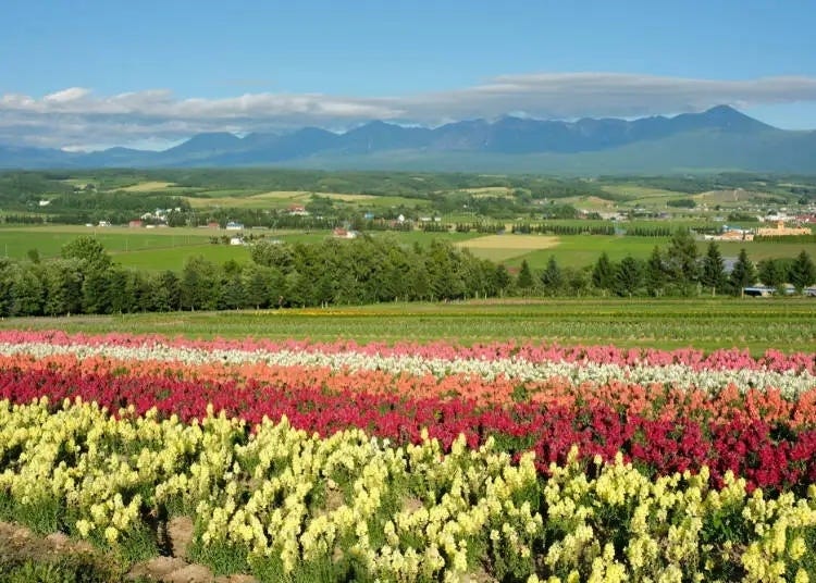 4 Reasons Why Travelers Dream of Beautiful Hokkaido's Hidden Gems