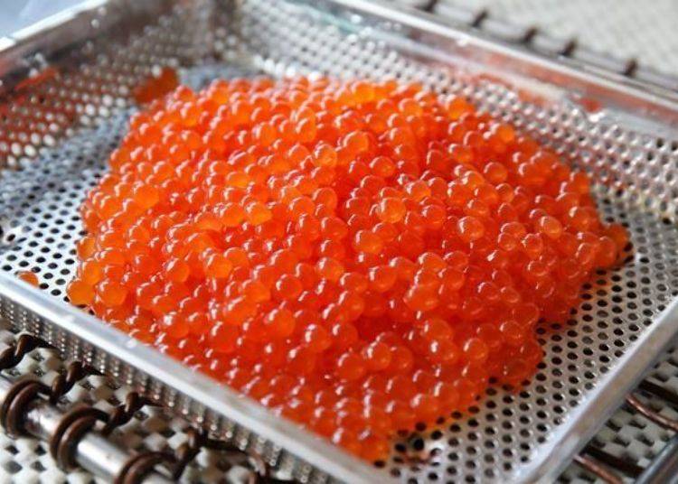 ▲ Salmon and salmon roe are most delicious in autumn
