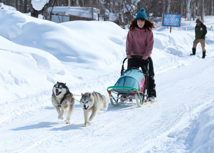 Winter Fun! Activities to Enjoy Year-Round at North Safari Sapporo