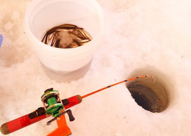2. Ice Fishing: Fishing for smelt atop a frozen lake!