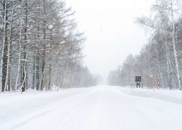 겨울 도로에 주의! 겨울철 홋카이도에서 ‘자주 통행금지령이 내리는 도로’와 교통수단 이용 시 유의사항