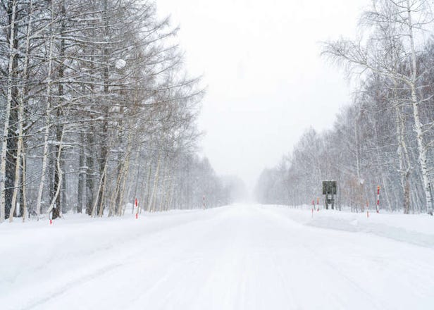 事故に要注意！冬の北海道の交通事情で知っておくべきこと