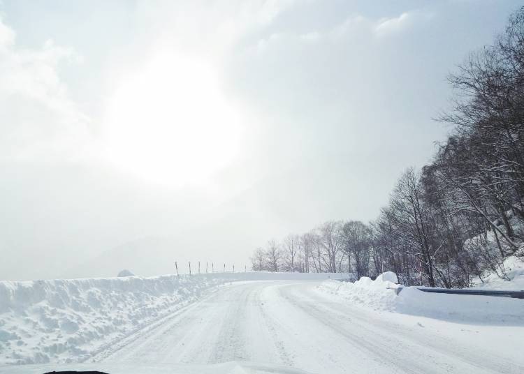 Compact snow atop the road surface