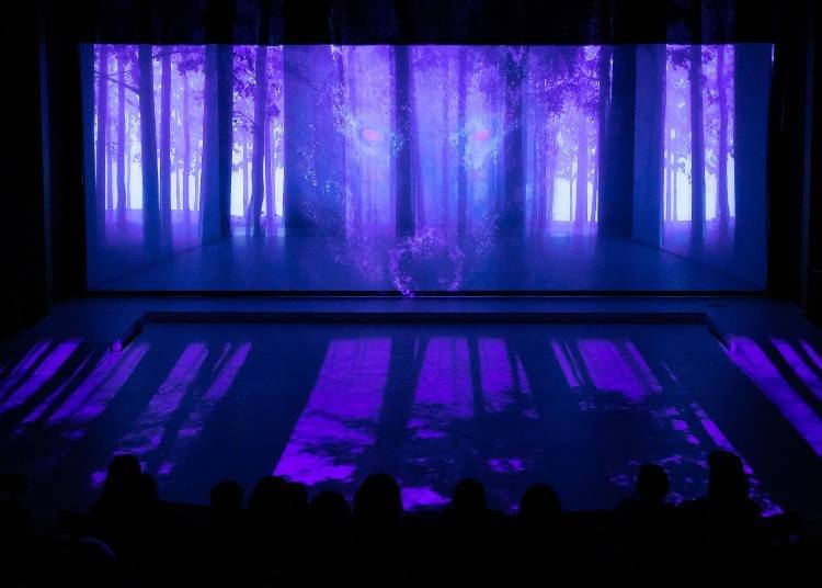若想更深入了解愛努文化
就到阿寒湖愛努劇場「IKOR」觀賞「LOST KAMUY」吧！