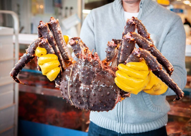 The leg-span of king crab in Japan often exceeds one meter in length when extended.