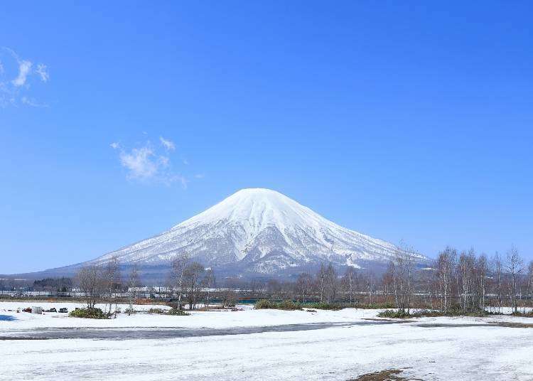 Japan's Mystical Island: 7 Tips for Visiting Hokkaido in Spring