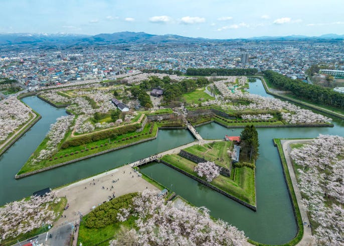 live japan