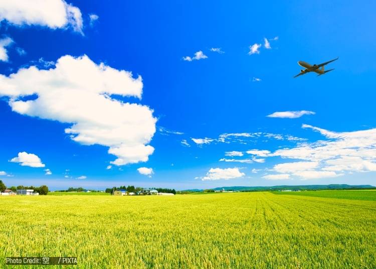 圖片來源：PIXTA