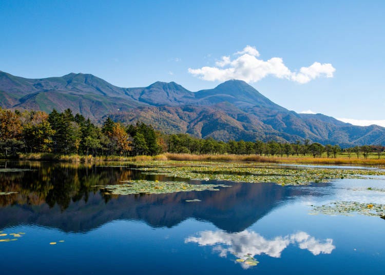 4. Animal Paradise - Shiretoko’s vast natural surroundings!